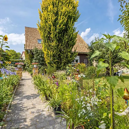 Fuer 3 Personen 60 M² Dankerode (Saxony-Anhalt)