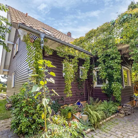 Fuer 3 Personen 60 M² Dankerode (Saxony-Anhalt)