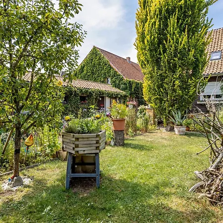 Apartment Fuer 3 Personen 60 M² Dankerode (Saxony-Anhalt)